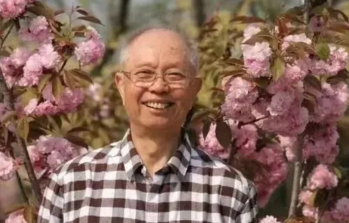 《十五的月亮》《在那桃花盛开的地方》作者病逝